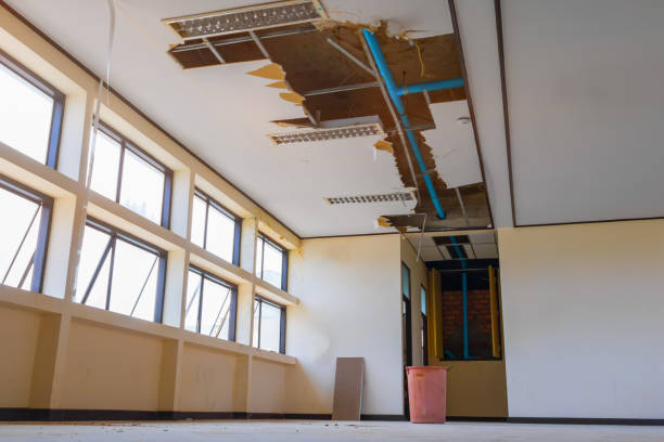Best Local water damage restoration  in Lincoln Rk, PA