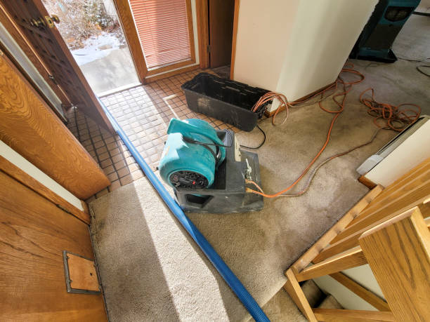 Best 24-hour water damage restoration  in Lincoln Rk, PA