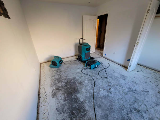 Best Water damage restoration cost  in Lincoln Rk, PA