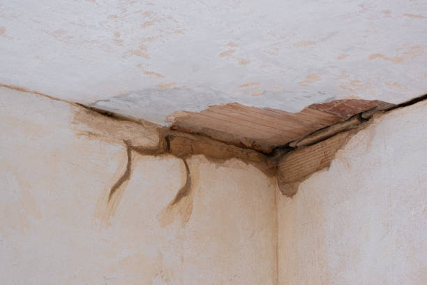 Best Flooded house restoration  in Lincoln Rk, PA