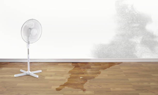 Best Water damage restoration services  in Lincoln Rk, PA