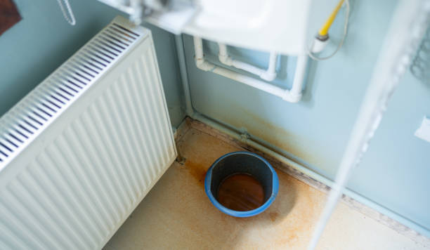Water damage restoration mold remediation in Lincoln Park, PA