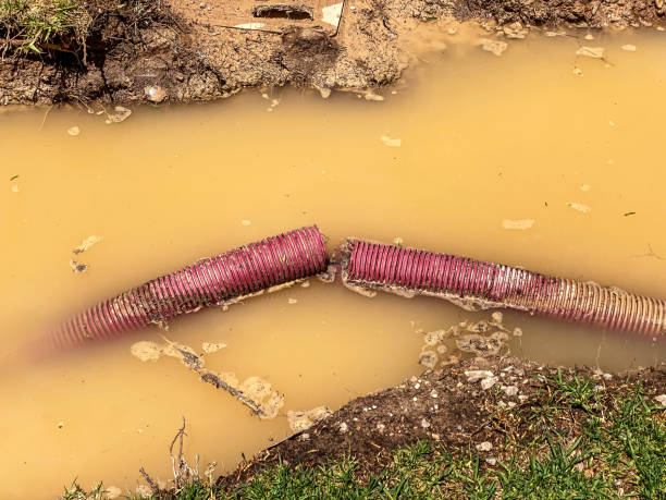 Best 24-hour water damage restoration  in Lincoln Rk, PA