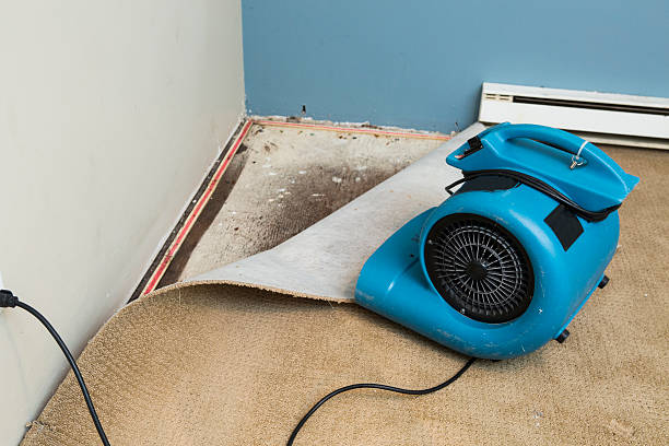 Best Water damage contractors near me  in Lincoln Rk, PA